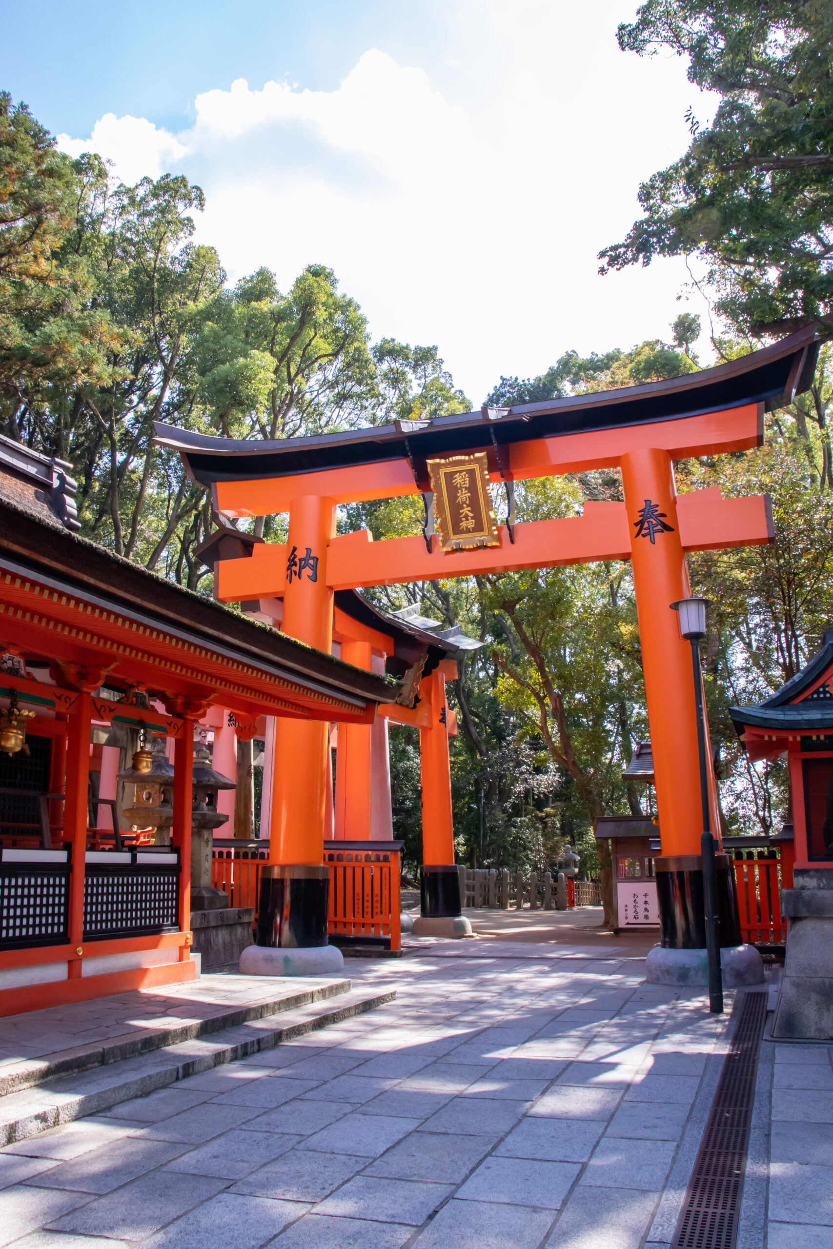 伏見稲荷大社へ行ってきました！