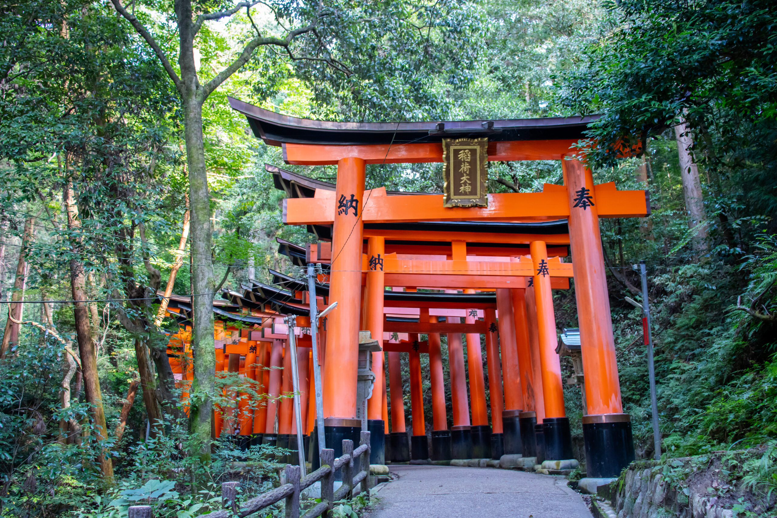 伏見稲荷大社へ行ってきました！